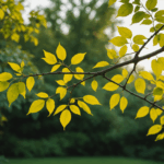 pag-image-68aac5e00dc60