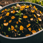 pag-image-68b1821c3d648